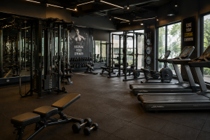 Best Uses of Gym Equipment | Types & Equipment Guide